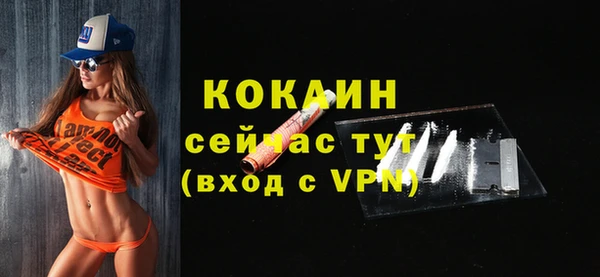 ПСИЛОЦИБИНОВЫЕ ГРИБЫ Лагань