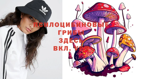 прущий лед Липки