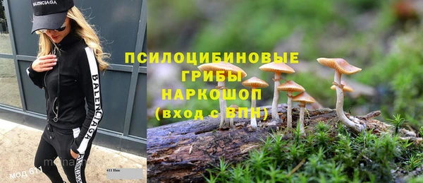 прущий лед Липки