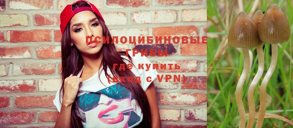 mdma Лиски