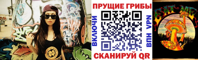 Купить где Бирюч Галлюциногенные грибы GOLDEN TEACHER