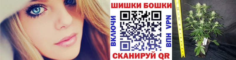 Канабис SATIVA & INDICA  Купить закладки  Бирюч 
